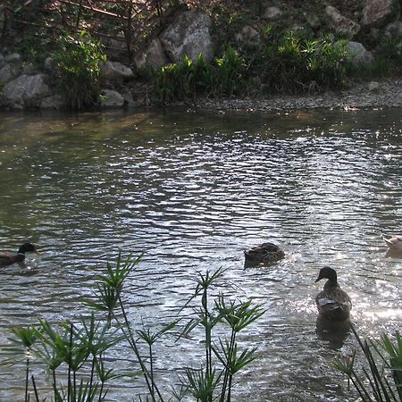 Adrasan River Hotel Kumluca Kültér fotó