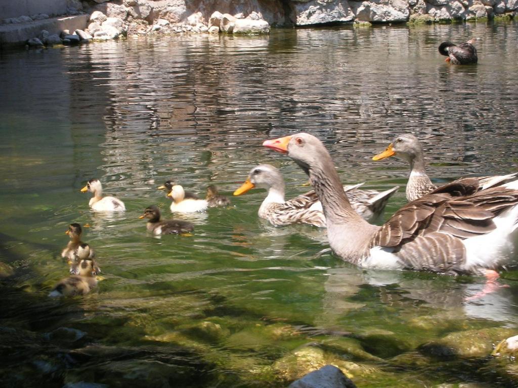 Adrasan River Hotel Kumluca Kültér fotó